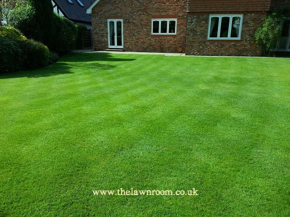 Lawn Care, Cheadle Hulme, Stockport, Cheshire