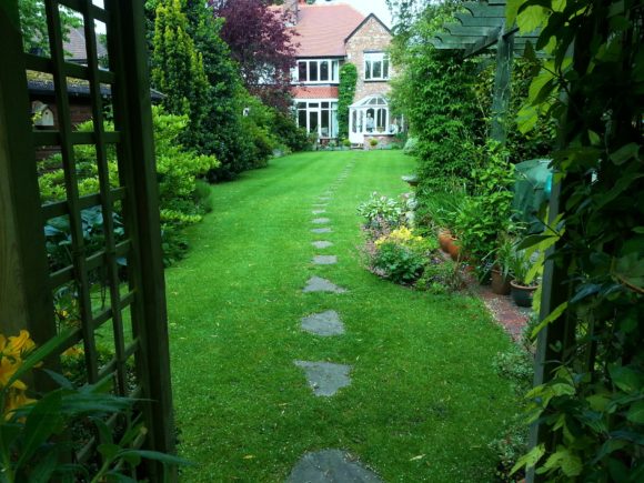 Cheadle Hulme Lawn Treatment Results