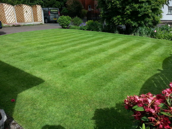 Lawn Care, Bramhall, Stockport, Cheshire