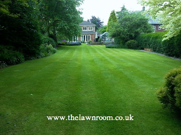 Bramhall Lawn Treatment