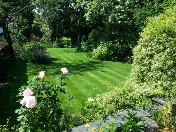 Lawn Care, Bramhall, Stockport, Cheshire