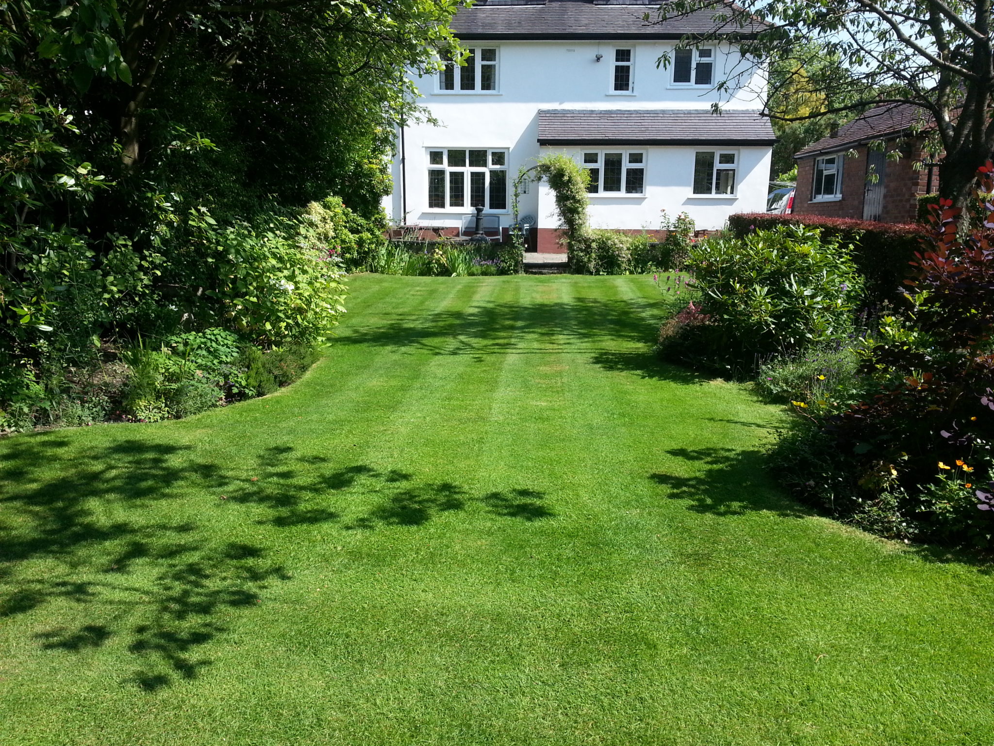 Cheadle Hulme Lawn Treatment Results