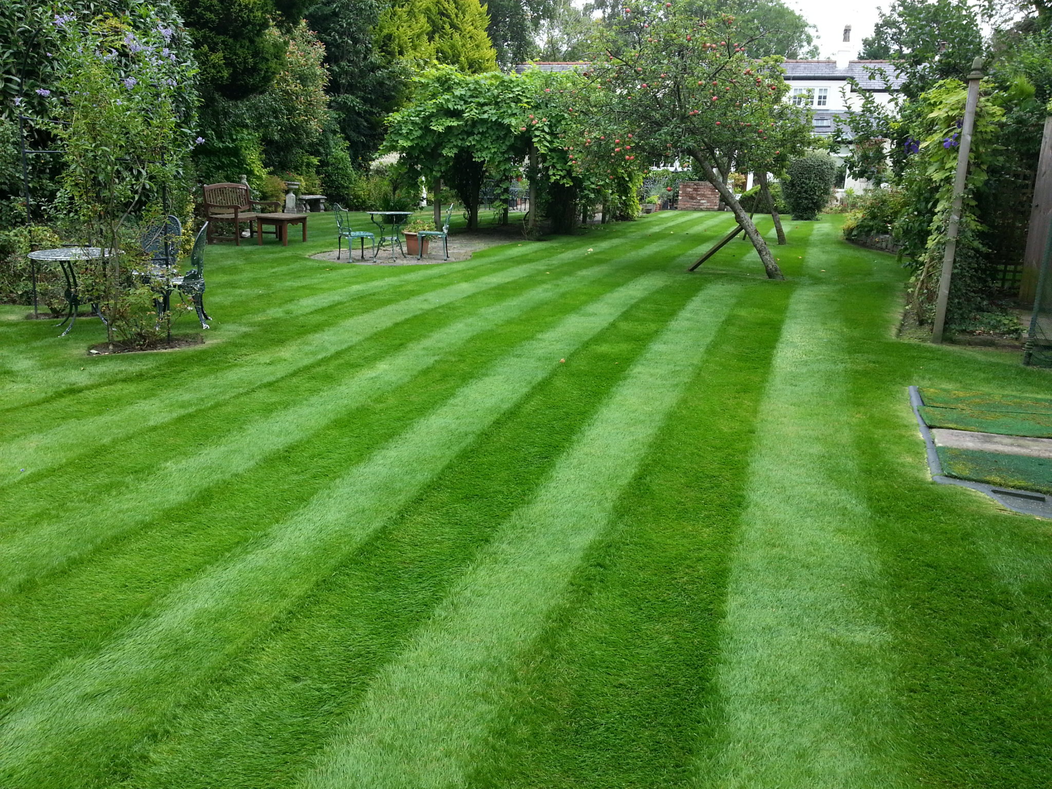 Lawn Care, Bramhall, Stockport, Cheshire