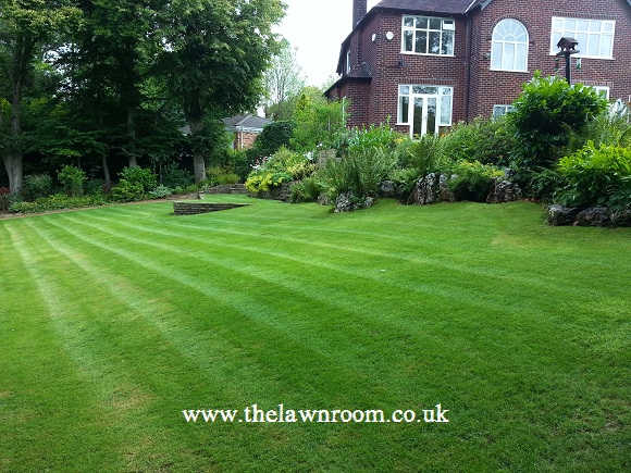 Bramhall Lawn Treatment Results