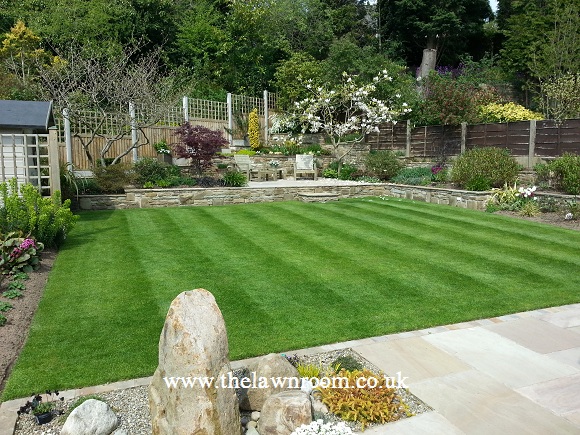 Lawn Care, Bramhall, Stockport, Cheshire