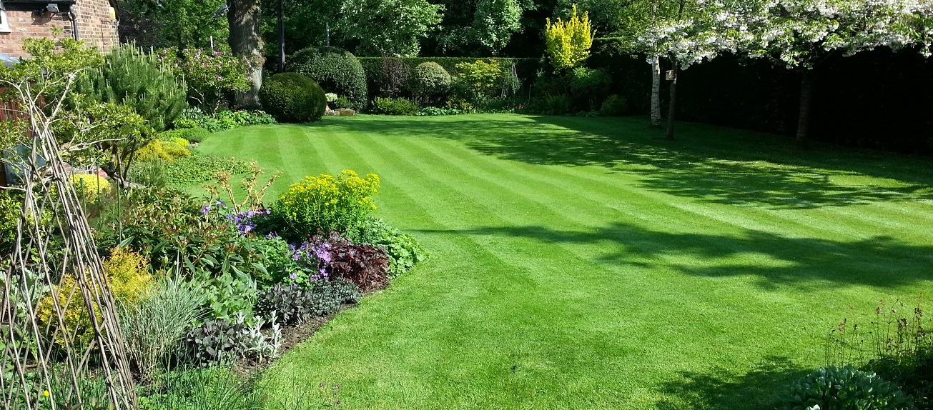 Lawn Care, Bramhall and Cheadle Hulme.