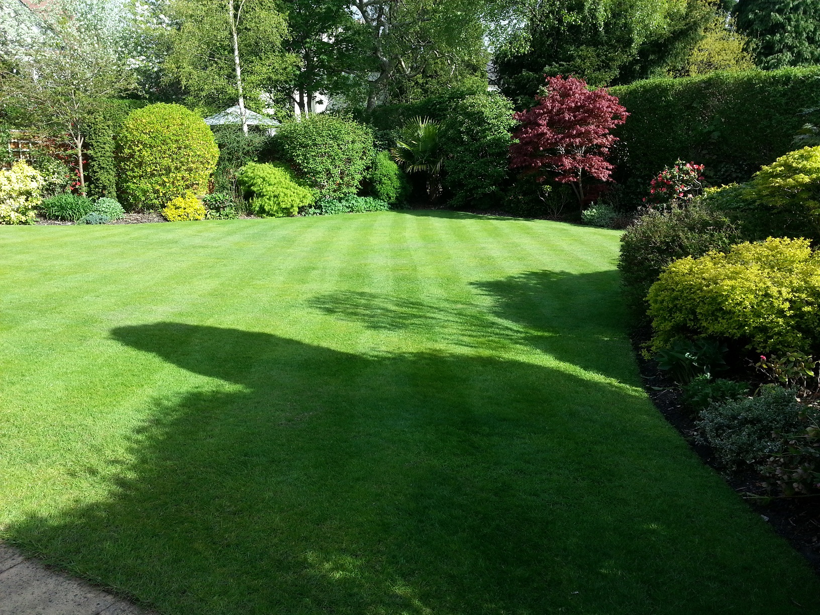 Lawn Care, Cheadle Hulme, Stockport, Cheshire 