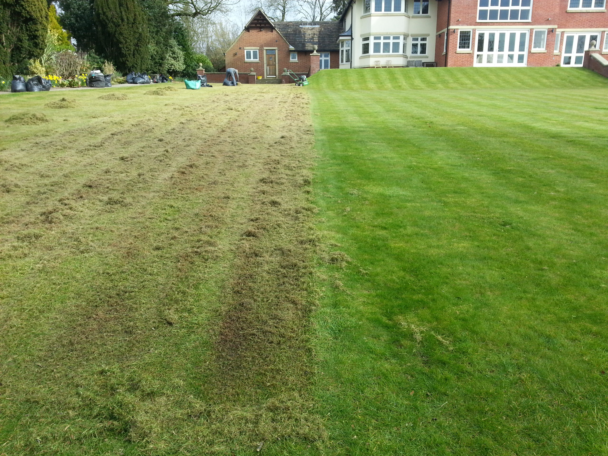 Scarification in progress