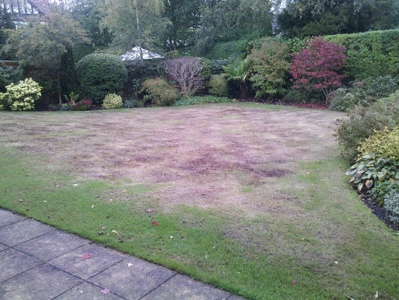 Lawn Care, Bramhall, Stockport, Cheshire