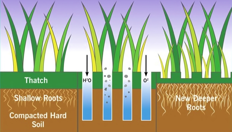 soil-aeration-benefits