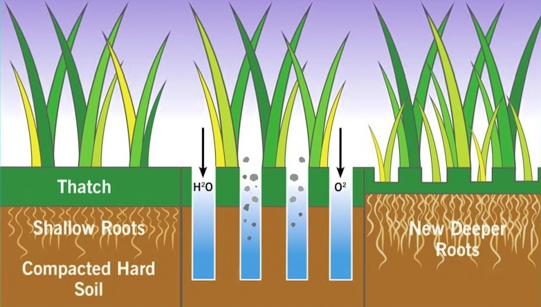 soil-aeration-benefits soil-aeration-benefits